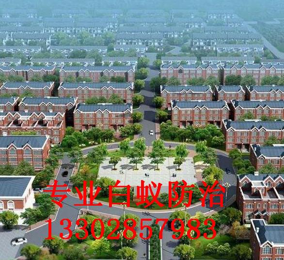 順德建筑工地白蟻防治公司圖片