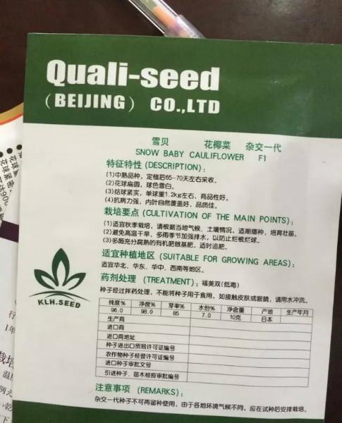 供應(yīng)進(jìn)口白花菜種子雪貝花菜種子出口創(chuàng)匯品種