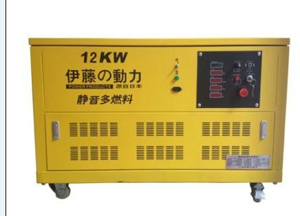 供應(yīng)伊藤12KW多燃料發(fā)電機YT12RGF-ATS